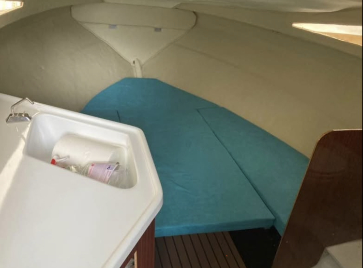 Sea Ray 21 Seville – slika 4